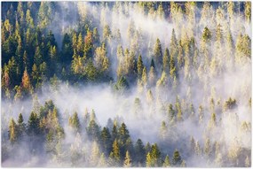 Tablou - Copac în ceață (90x60 cm)