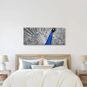 Tablou - păun albastru (120x50 cm)