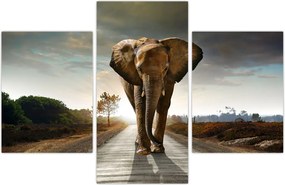Tablou cu elefant (90x60 cm)
