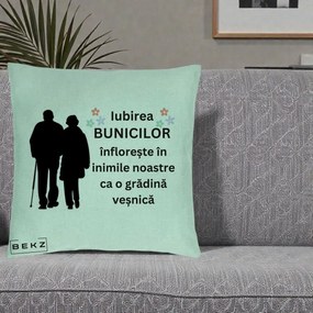 Cadou pentru Bunici - Perna Personalizata Bunicii Iubirea Infloreste Silueta Neagra Flori, 40x40 cm, Verde Menta, Husa Detasabila, Perna Inclusa, BEKZ®