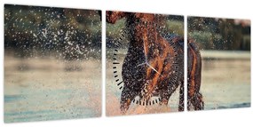 Tablou - Cal care aleargă (cu ceas) (90x30 cm)