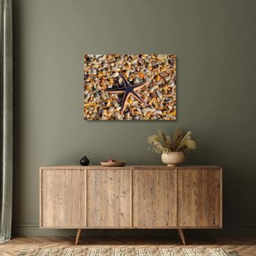 Tablou pe sticlă cu stea de mare (70x50 cm)