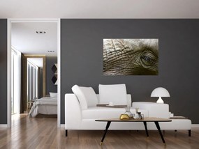Tablou - Prim-planul ochiului de elefant vechi (90x60 cm)