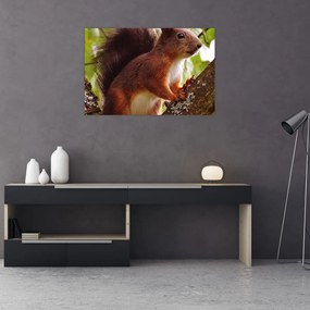 Tablou cu veverița (90x60 cm)
