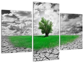 Tablou - O bucată de natură în oraș (90x60 cm)