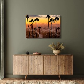 Tablou - Panorama din Los Angeles (90x60 cm)