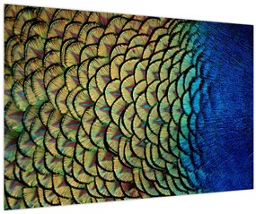 Tablou - Pene de păun (90x60 cm)