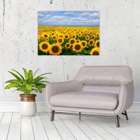 Tablou cu lan de floarea soarelui (70x50 cm), în 40 de alte dimensiuni noi