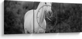 Tablou - Cal alb în poină (cu ceas) (90x30 cm)