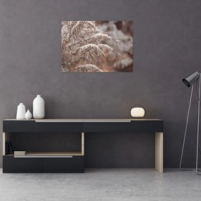 Tablou pe sticlă cu plante (70x50 cm)