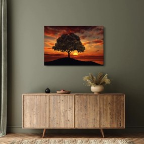 Tablou cu pomi și apus de soare (90x60 cm)