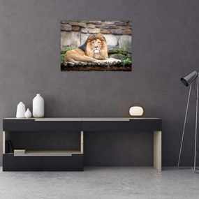 Tablou  cu leu (70x50 cm), în 40 de alte dimensiuni noi