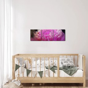 Tablou cu floare în fum roz (cu ceas) (90x30 cm)