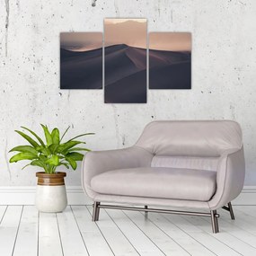 Tablou - Valuri de nisip (90x60 cm)