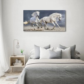 Tablou pe pânză White beach horse