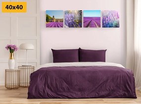 Set tablouri pentru iubitorii de lavandă