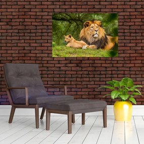 Tablou cu lei (90x60 cm)