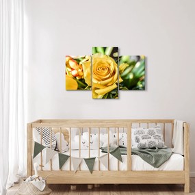 Tablou cu trandafir (90x60 cm)