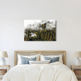 Tablou - Pădure în nori (90x60 cm)