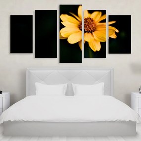 Tablou Multicanvas 5 Yellow Flower 250x120 cm