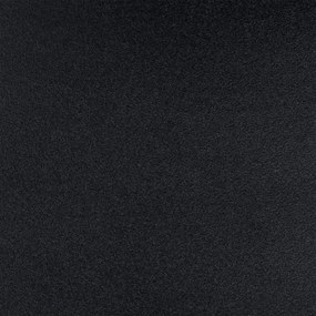 Plafonieră de exterior Westinghouse 61219 PETERSON 2xE27/40W/230V IP44