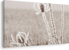 Tablou - Ciulinul în timpul iernii (90x60 cm)