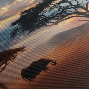 Tablou - Parcul Național Serengeti, Tanzania, Africa (120x50 cm)