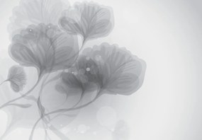 Fototapet - Flori abstracte (147x102 cm)