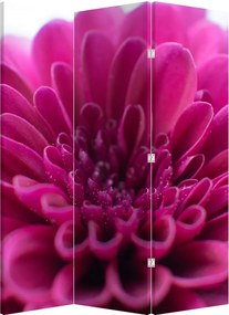Paravan - Floare (126x170 cm)