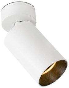 Spot LED aplicat tavan directonabil STAN 3000K alb