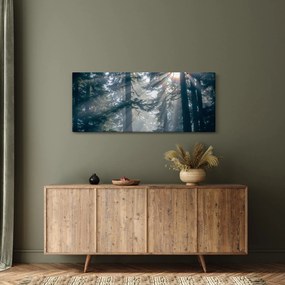Tablou cu copaci și soarele translucind (120x50 cm)