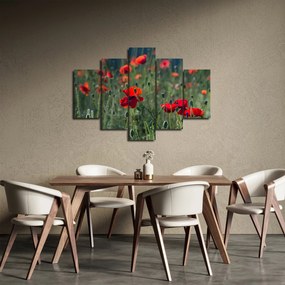 Tablou - Lunca cu maci (150x105 cm)