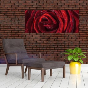 Tablou - Trandafir roșu cu picături de rouă (120x50 cm)