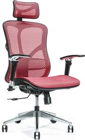 Scaun lemn masiv de birou ErgoFlex - Verde