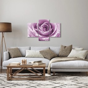 Tablou detaliu de floare de trandafir (90x60 cm)