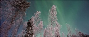 Tablou cu aurora borealis deasupra pomilor înghețați (120x50 cm)