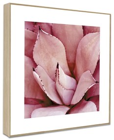 Poster 22.5x22.5 cm Flowers