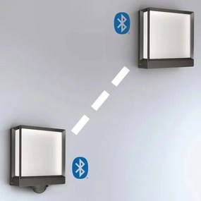 Aplică LED de exterior Steinel 085230 L40C LED/12,9W/230V IP54 antracit