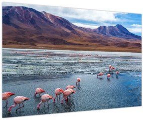 Tablou - Flamingo (90x60 cm)