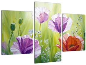 Tablou - Maci (90x60 cm)