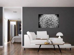 Tablou păpădie gri (90x60 cm)