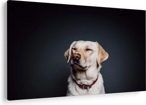 Tablou cu labrador (90x60 cm)