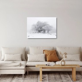 Tablou pe sticlă - Iarnă albă (70x50 cm)
