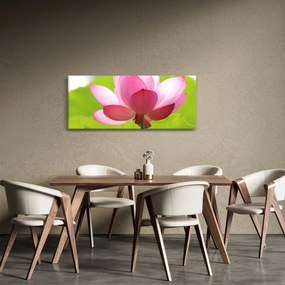 Tablou cu flori de lotus (120x50 cm)