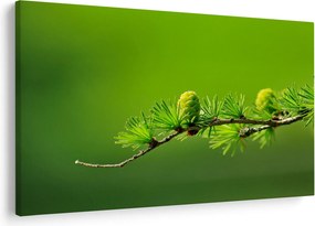 Tablou con verde (90x60 cm)