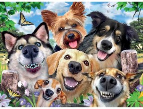 PUZZLE SELFIE CU CATELUSI, 500 PIESE - RAVENSBURGER (RVSPA16425)