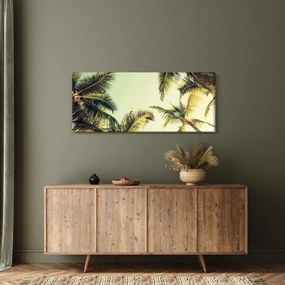 Tablou - Palmieri de cocos (120x50 cm)