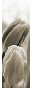 Fotojaluzele R012126R42150 (42x150 cm)