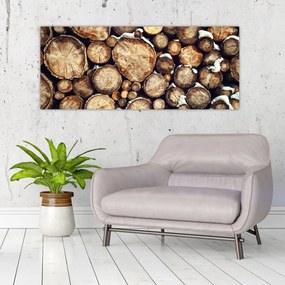 Tablou - Lemn în zăpadă (120x50 cm)