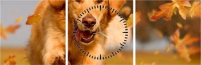Tablou - Golden Retriever (cu ceas) (90x30 cm)